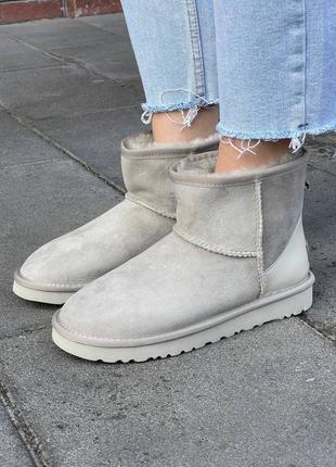 Женские угги угги угги сапоги ботинки ботинки ugg light grey metallic suede5 фото