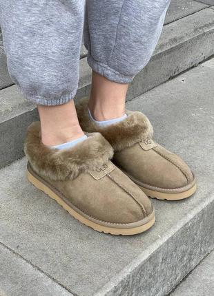 Жіночі уггі угги уги чоботи черевики ботінки  ugg coquette khaki