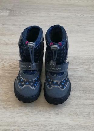 Термо ботинки зимние кожаные geox amphibiox 26 размер5 фото