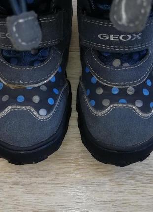 Термо ботинки зимние кожаные geox amphibiox 26 размер7 фото