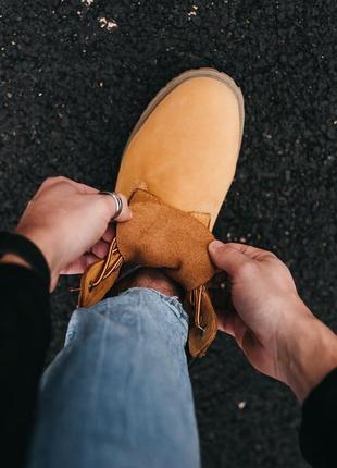 Женские ботинки timberland ginger8 фото