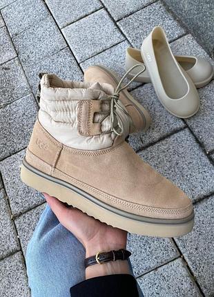 Ugg classic mini lace-up beige угги уггі ботинки черевики