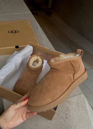 Женские угги  ugg ultra mini chesnut1 фото