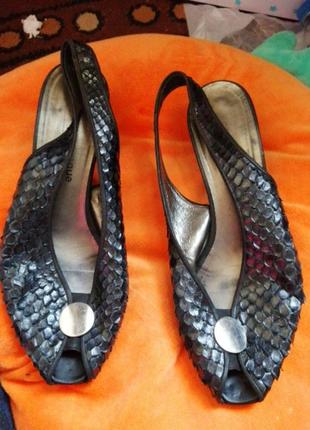 Босооожки аожа рептилия 38р