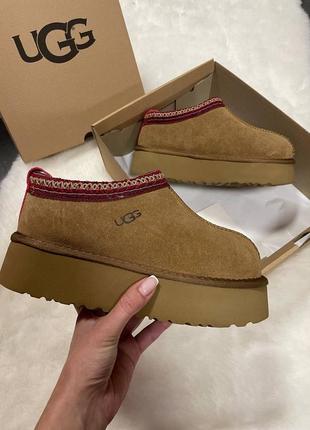 Женские тапули ugg на высокой подошве