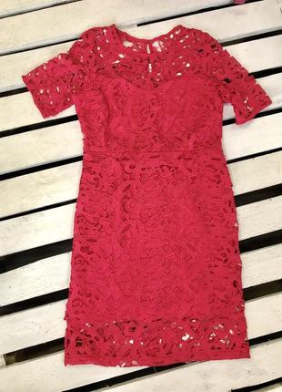 Платье брендовое красное dorothy perkins кружево 12(40) l5 фото