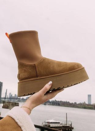 Уггі classic dipper ugg