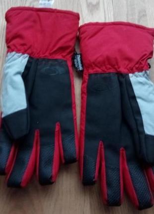 Перчатки горнолыжные мужские р-р хl