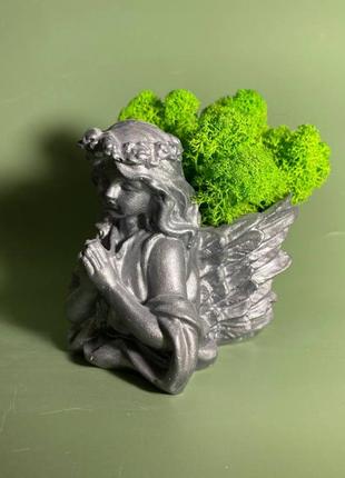 Гіпсове кашпо ангел зі стабілізованим мохом, норвезький мох, кашпо з гіпсу ангел божа матір2 фото