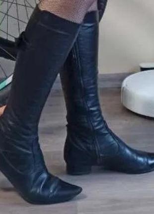 Кожаные женские сапоги nina 38-39