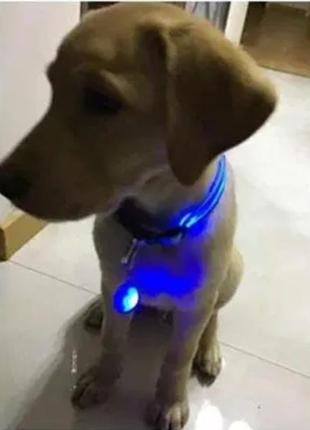 Світлодіодний led-ліхтарик для собак і котів на нашийник брелок ліхтарик для ключів, сумок, рюкзаків синій1 фото