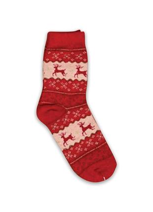 Шкарпетки новорічні "christmas is coming" 35-39р (22-24 см), червоний колір, so-01 №1