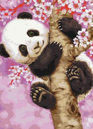 Картина по номерам 40х50 на деревянном подрамнике "панда на сакуре" bs30274
