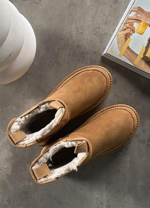 Уггі ugg neumel chelsea5 фото