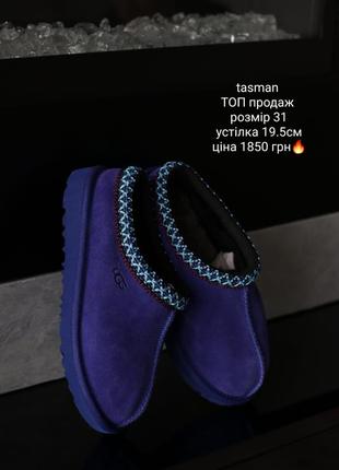 Tasman ugg оригінал