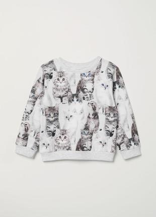 Свитшот, кофта, толстовка с котятами девочке, h&m