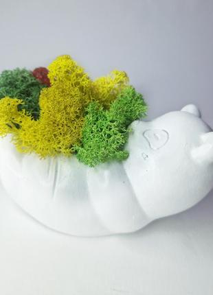 Стабилизированный мох декоративный мох в кашпо мышка стильный декор для детской9 фото