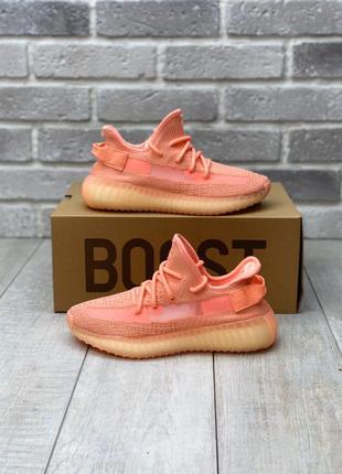 Adidas yeezy boost 350 v2 🔺 женские кроссовки адидас изи 3505 фото