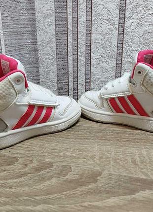 Adidas кроссовки оригинал 5