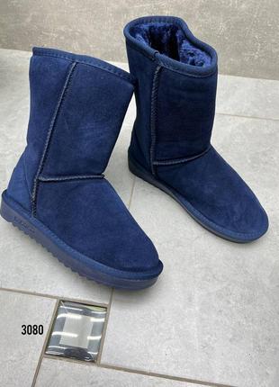 Темно-синие стильные теплищи ботинки угги натуральная замша