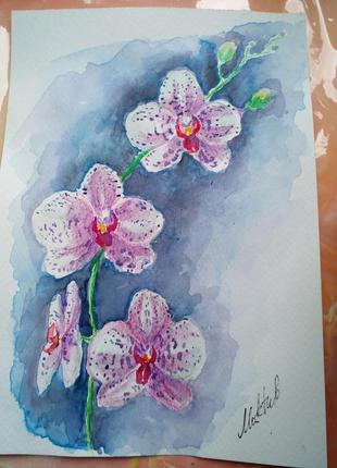 Розпродаж 2+1 орхідея акварель картина без рами2 фото