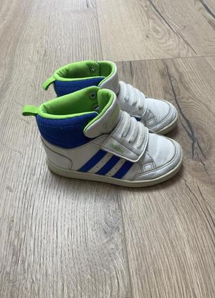 Хайтопы adidas