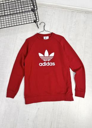 Світшот adidas sweatshirt