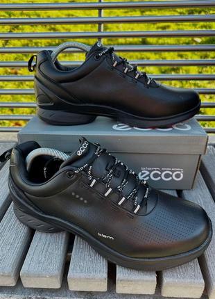 Ecco biom3 фото