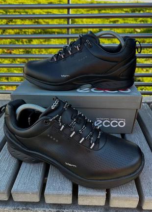 Ecco biom1 фото