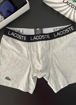 Набор боксерок лакоста для мужчины  lacoste, набор 4шт в коробке.  люкс качество fellix набір боксерок лакоста5 фото