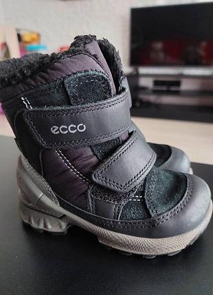Зимние детские ботинки ecco 21