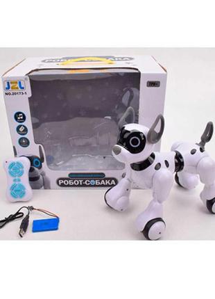 Собака інтерактивна робот на радіокеруванні робот — собака арт. 20173-13 фото