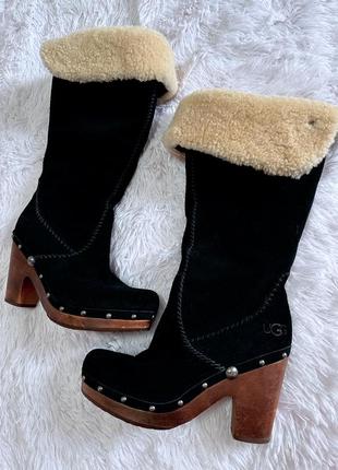 Теплые сапоги на каблуке ugg4 фото