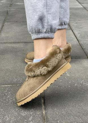 Женские угги хаки ugg coquette khaki3 фото