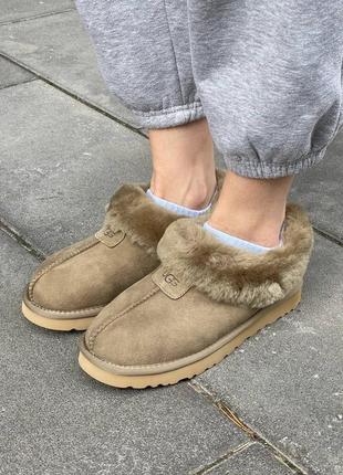 Женские зимние угги ugg coquette khaki новителя 2023 овчина