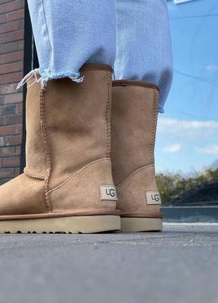 Женские зимние угги ugg classic short ii chestnut овчина2 фото