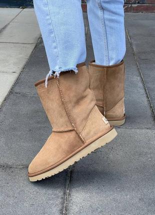 Женские зимние угги ugg classic short ii chestnut овчина6 фото