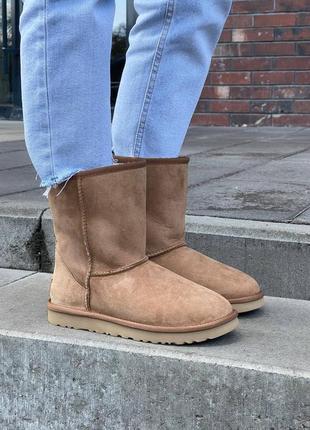 Женские зимние угги ugg classic short ii chestnut овчина7 фото