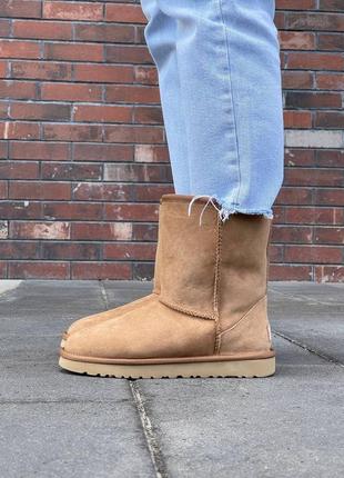 Женские зимние угги ugg classic short ii chestnut овчина9 фото