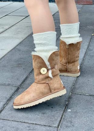 Зимние женские угги ugg short bailey 494 chestnut