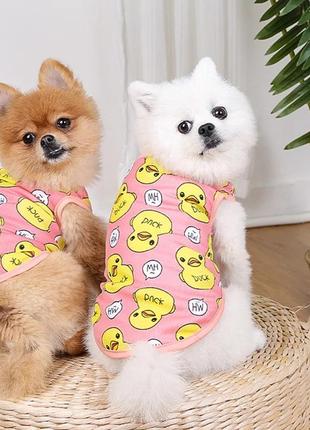Одежда для домашних любимцев xl