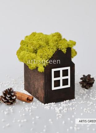 Корпоративные подарки. подарок на новый год. домик со стабилизированным мхом, салатовый