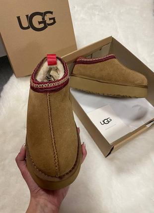 Ugg замшевые на овчине5 фото