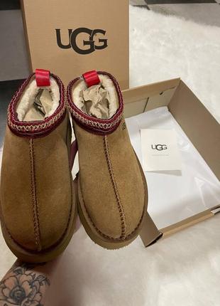 Ugg замшевые на овчине4 фото