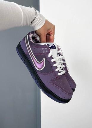 Concepts x nike sb dunk low pro qs 'purple lobster'