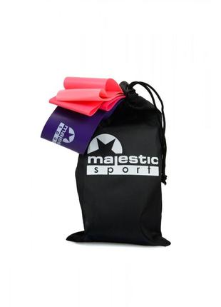 Гумки для фітнесу majestic sport pink power mini band набір 5 шт 5-25 кг gvr20086 фото