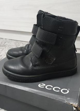 Чоботи зимові ecco