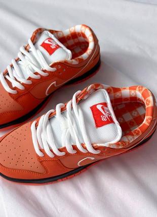 Кроссовки женские nike sb dunk low concepts x orange lobster10 фото