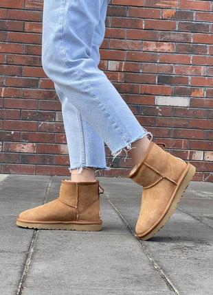 Женские угги ugg classic mini chestnut suede3 фото