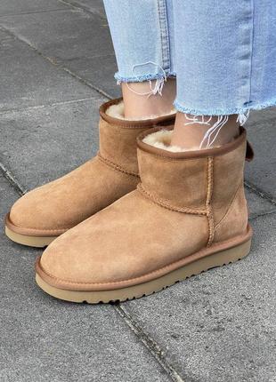 Женские угги ugg classic mini chestnut suede